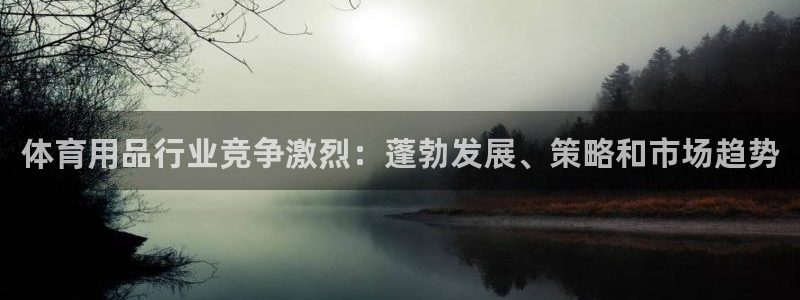 欧陆娱乐计划app官方正版安装下载：体育用品行业竞争