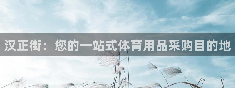 欧陆娱乐计划预测软件：汉正街：您的一站式体育用品采购