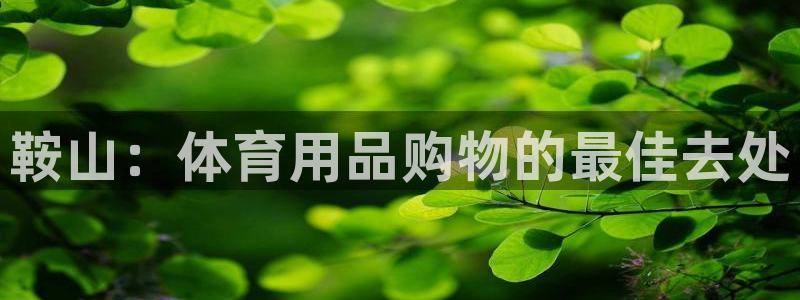 欧陆注册码：鞍山：体育用品购物的最佳去处