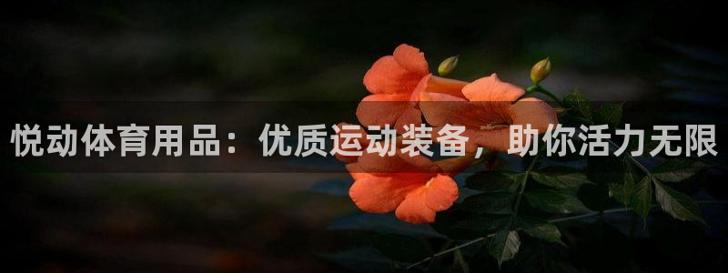 重庆欧陆娱乐有限公司：悦动体育用品：优质运动装备，助