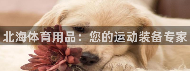 欧陆娱乐平台登陆地址：北海体育用品：您的运动装备专家