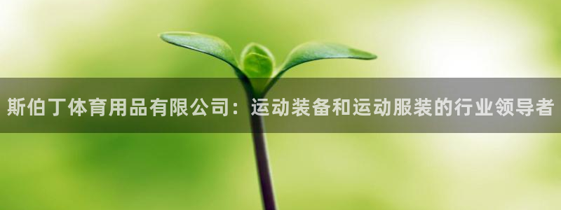 欧陆娱乐有限公司怎么样：斯伯丁体育用品有限公司：运动