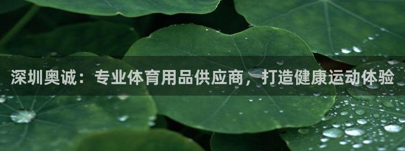 欧陆娱乐app攻略大全：深圳奥诚：专业体育用品供应商