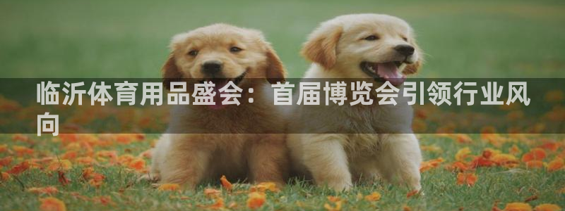 欧陆娱乐官网网址是什么：临沂体育用品盛会：首届博览会