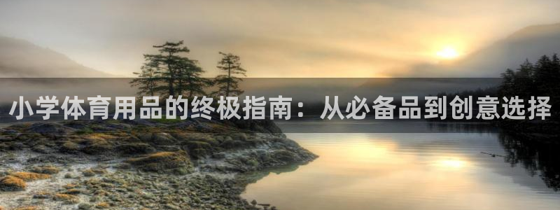 欧陆娱乐怎么注册会员的：小学体育用品的终极指南：从必