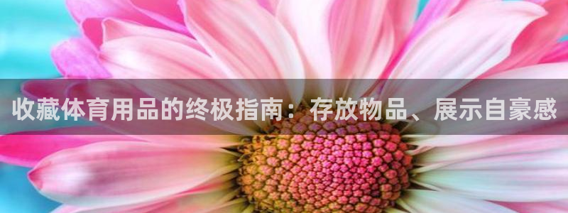 欧陆娱乐是正规平台吗安全吗可信吗是真的吗：收藏体育用