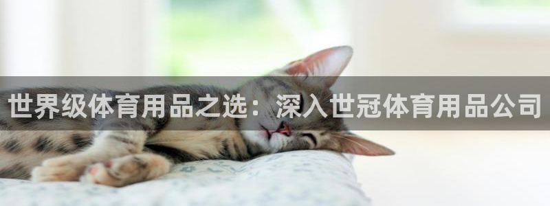 欧陆娱乐线路测速：世界级体育用品之选：深入世冠体育用