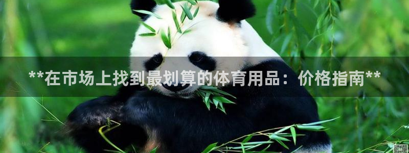 欧陆是什么平台：**在市场上找到最划算的体育用品：价