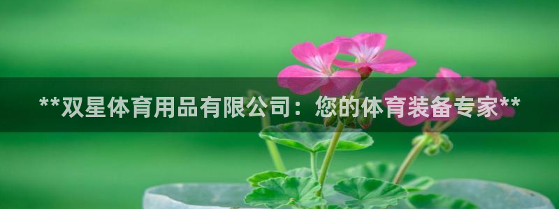 欧陆娱乐会员有什么用：**双星体育用品有限公司：您的体育装备