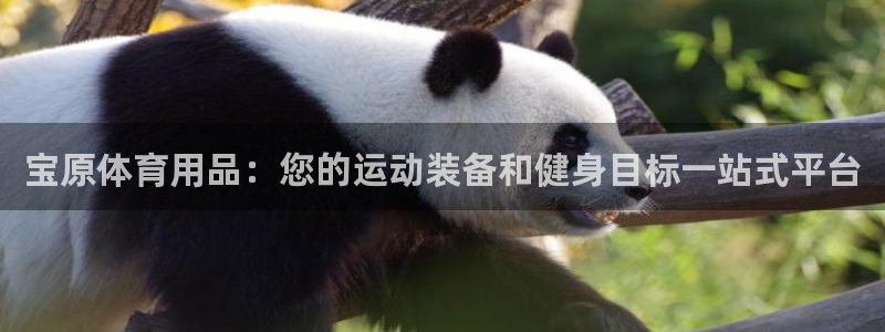 欧陆娱乐平台优势：宝原体育用品：您的运动装备和健身目