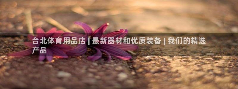 欧陆娱乐图片：台北体育用品店 | 最新器材和优质装备
