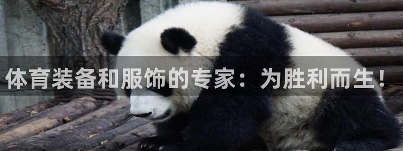 欧陆娱乐怎么注册会员：体育装备和服饰的专家：为胜利而