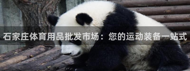 欧陆娱乐怎么注册账号：石家庄体育用品批发市场：您的运