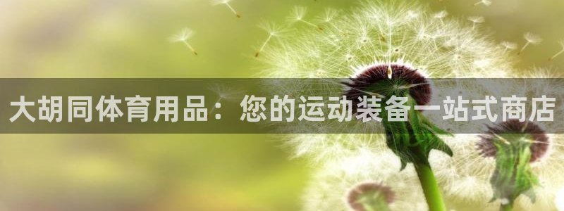 欧陆娱乐app下载安装：大胡同体育用品：您的运动装备