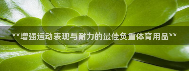 欧陆娱乐官网首页网址：**增强运动表现与耐力的最佳负