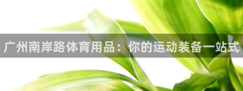 欧陆娱乐简介：广州南岸路体育用品：你的运动装备一站式