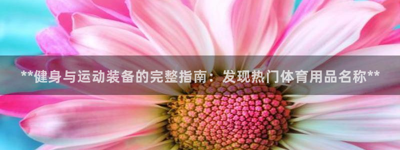 欧陆娱乐稳中：**健身与运动装备的完整指南：发现热门