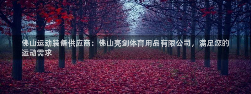 欧陆娱乐微信：佛山运动装备供应商：佛山亮剑体育用品有