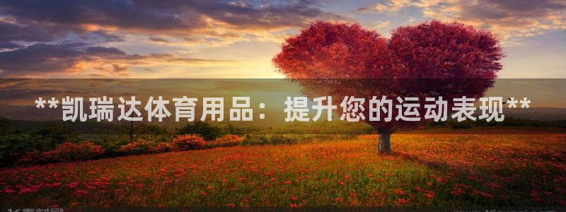 欧陆娱乐注册代理：**凯瑞达体育用品：提升您的运动表