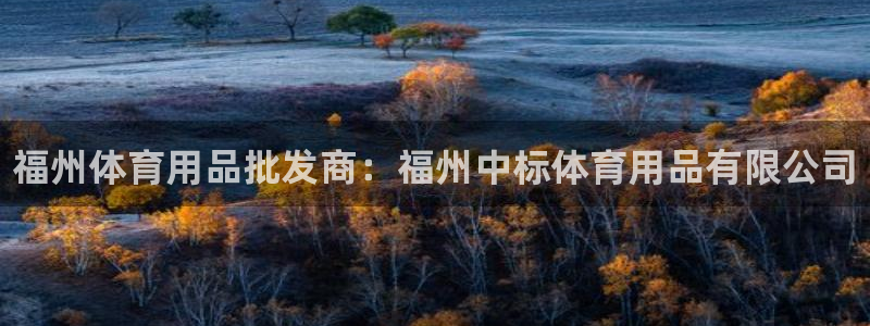 欧陆娱乐是资金盘吗：福州体育用品批发商：福州中标体育