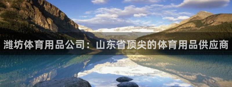 欧陆娱乐登录注册平台：潍坊体育用品公司：山东省顶尖的