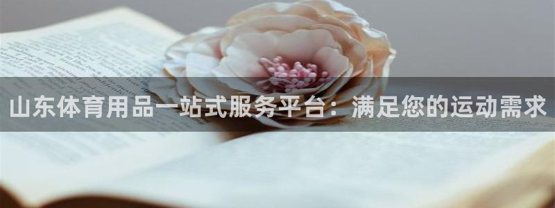 欧陆娱乐登录测速软件：山东体育用品一站式服务平台：满