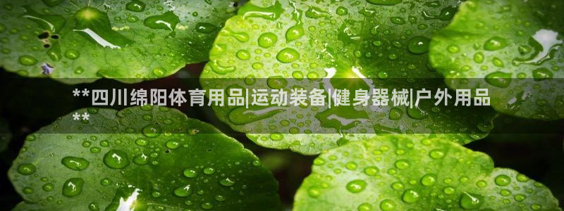 欧陆娱乐官网下载安装：**四川绵阳体育用品|运动装备