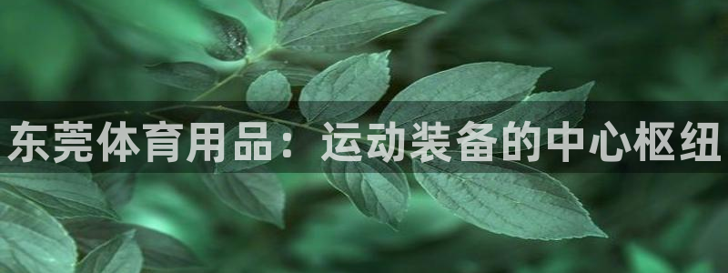 欧陆娱乐欢迎访问：东莞体育用品：运动装备的中心枢纽