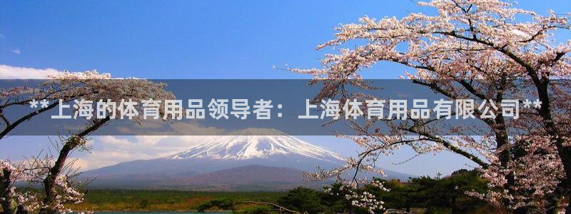 欧陆娱乐的故事有哪些：**上海的体育用品领导者：上海体育用品