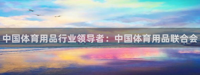 欧陆娱乐是正规平台吗安全吗知乎文章：中国体育用品行业领导者：