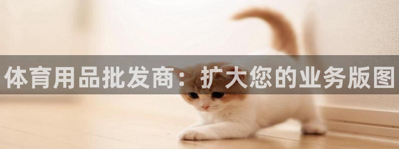 欧陆娱乐测速软件下载：体育用品批发商：扩大您的业务版图