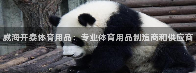 欧陆娱乐能不能玩手游：威海开泰体育用品：专业体育用品制造商和