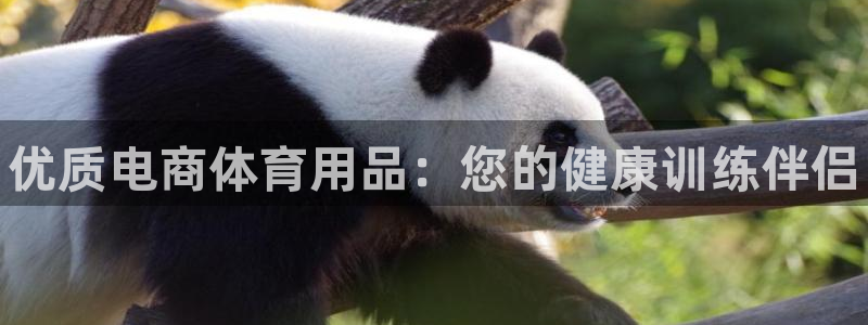欧陆娱乐是真的吗：优质电商体育用品：您的健康训练伴侣