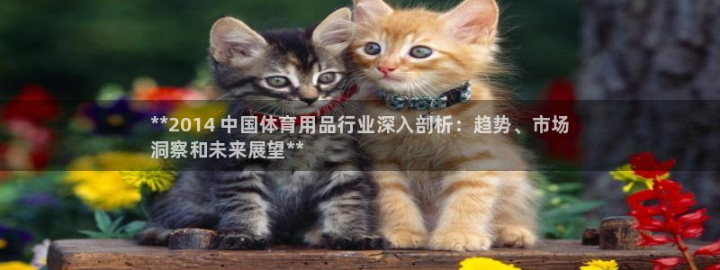 欧陆娱乐能提现嘛安全吗