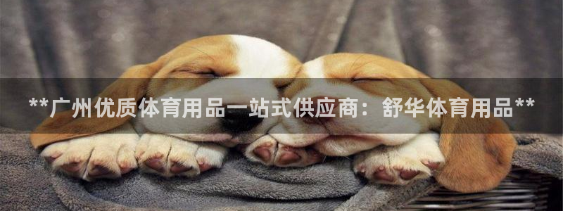 欧陆娱乐官网注册中心下载：**广州优质体育用品一站式