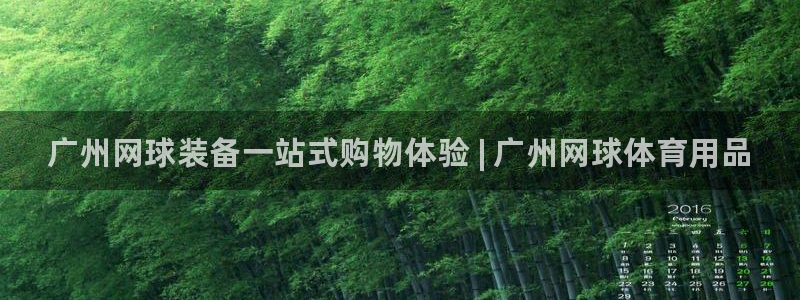 欧陆娱乐打什么方案赚钱：广州网球装备一站式购物体验 | 广州