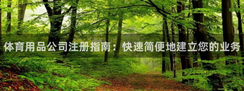 欧陆娱乐app攻略下载：体育用品公司注册指南：快速简