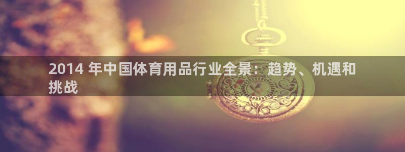 欧陆娱乐平台咋样赚钱快：2014 年中国体育用品行业