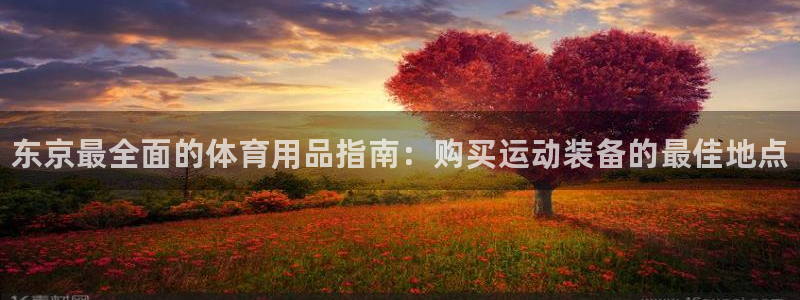 欧陆娱乐平台登陆地址在哪里：东京最全面的体育用品指南