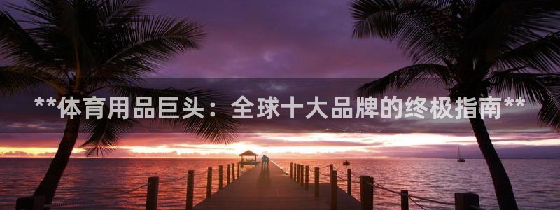 欧陆娱乐怎么注册会员账号：**体育用品巨头：全球十大