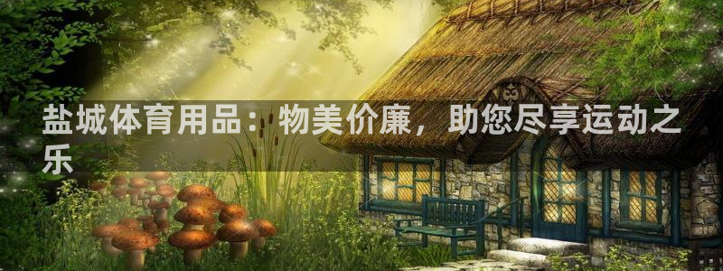 欧陆娱乐是正规平台吗安全吗可靠吗：盐城体育用品：物美