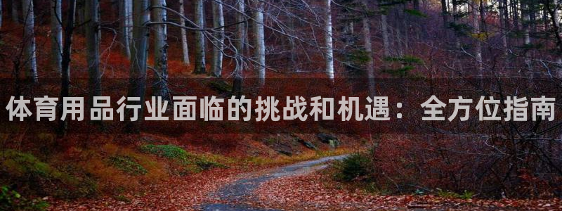 欧陆娱乐挂机怎么玩：体育用品行业面临的挑战和机遇：全