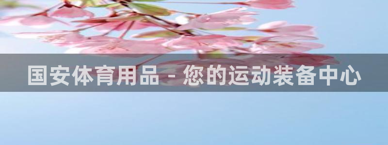 欧陆娱乐公司产品介绍怎么写：国安体育用品 - 您的运动装备中