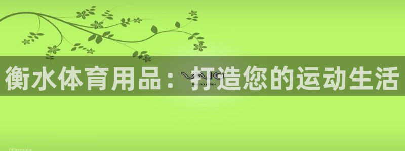 欧陆娱乐计划预测软件哪个好：衡水体育用品：打造您的运